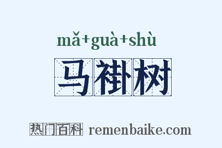 马褂树是什么意思的图片